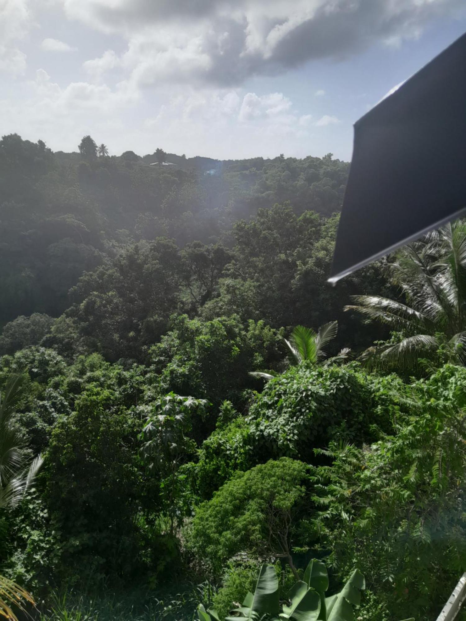 Les Manguiers Sainte-Anne (Grande-Terre) Exterior foto